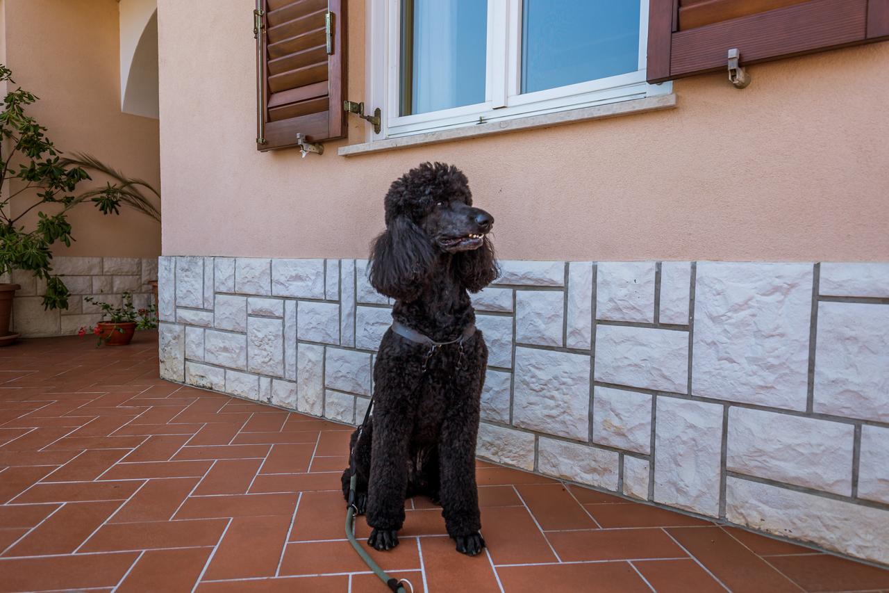 Rona Apartments Ani Ičići Exteriör bild